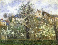 Camille Pissarro Vegetable Garden and Trees in Flower Spring Sweden oil painting art